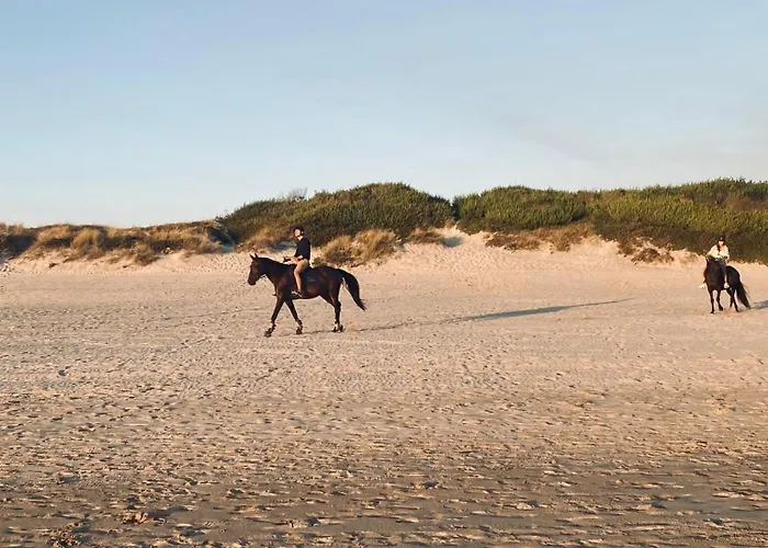 Front With Heated Pool - Sea La Vie