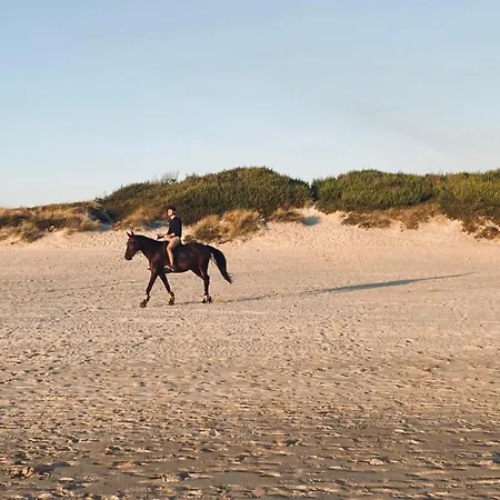 Front With Heated Pool - Sea La Vie